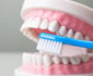 かめい歯科クリニックの予防歯科とは？